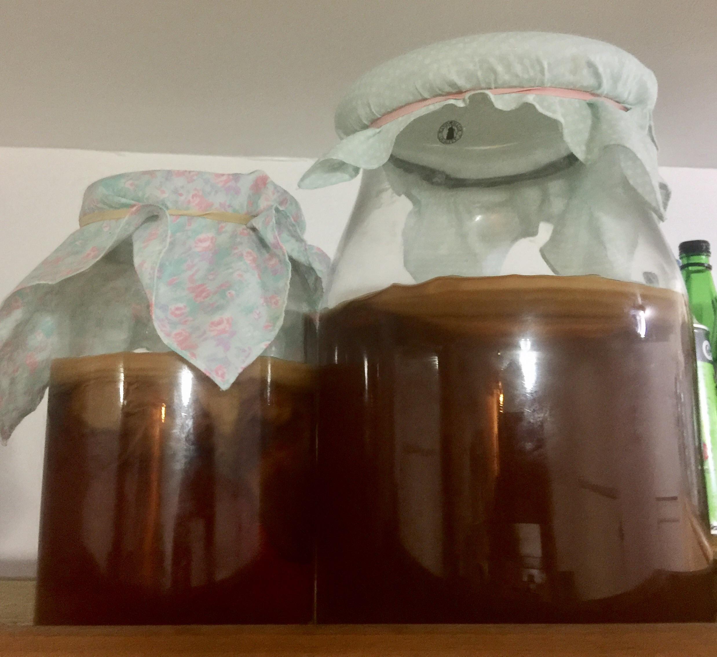 My Kombucha. Been brewing since November 2016, too busy to change ...